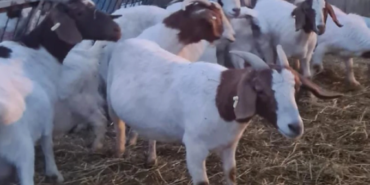 Ekran görüntüsü 2023-04-14 113711