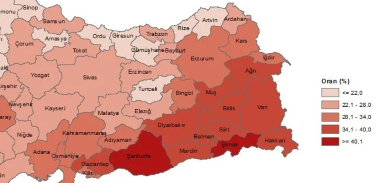 TÜİK 2022 Çocuk İstatistik Raporu: Bölge kentleri son sıralarda