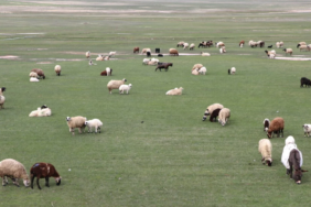 Ekran görüntüsü 2023-04-25 212707