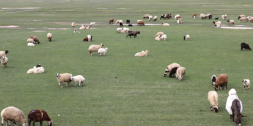 Ekran görüntüsü 2023-04-25 212707