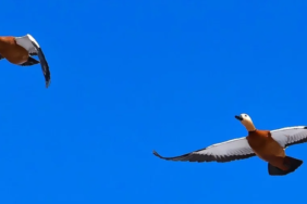 Ekran görüntüsü 2023-04-26 150328