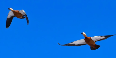 Ekran görüntüsü 2023-04-26 150328