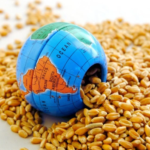 Ekran görüntüsü 2023-04-28 125223