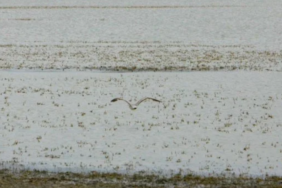 Ekran görüntüsü 2023-04-30 143618