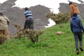 Ekran görüntüsü 2023-04-30 143900