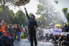 1685250763914-hollanda