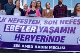 690x390cc-amd-05-05-2023-ses-amed-kadin-meclisi-ebe-gunu-aciklamasi2