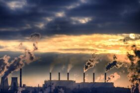 690x390cc-ist-23-05-2023-iklim-krizi-yeryuzu-ekoloji-kollektifi-utku-sahin-rop1