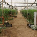 690x390cc-rpt-25-05-2023-xarpet-ciftci-sahinkaya-roportaj-21