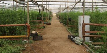 690x390cc-rpt-25-05-2023-xarpet-ciftci-sahinkaya-roportaj-21