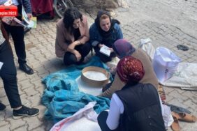 690x390cc-srt-12-05-2023-yesil-sol-calismalari-kadinlar-secim-23-logosu