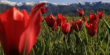 Ekran görüntüsü 2023-05-05 102408