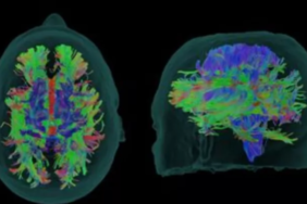 Ekran görüntüsü 2023-05-05 185442