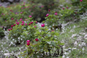 Ekran görüntüsü 2023-05-06 150801