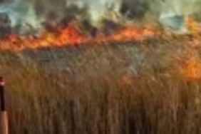 Ekran görüntüsü 2023-05-06 152042