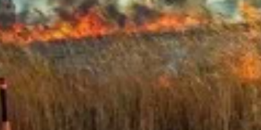 Ekran görüntüsü 2023-05-06 152042