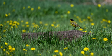 Ekran görüntüsü 2023-05-13 212634