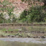 Ekran görüntüsü 2023-05-13 214618