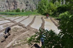 Ekran görüntüsü 2023-05-18 125855