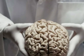 Ekran görüntüsü 2023-05-27 152028