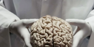 Ekran görüntüsü 2023-05-27 152028