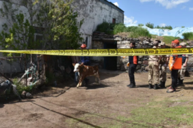 Ekran görüntüsü 2023-05-30 180625