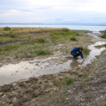 Ekran görüntüsü 2023-05-31 120731