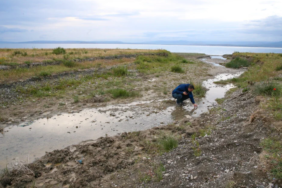 Ekran görüntüsü 2023-05-31 120731