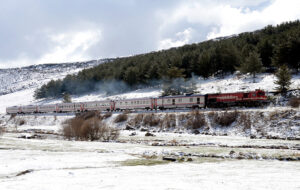 Mayis-ayinin-ilk-haftasinda-Erzurum-Kars-Ardahan-ve-Sivasin-bir-bolumunde-kar-etkili-oldu-Foto-AA