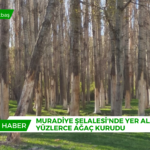 Red Suspense Breaking News Animated Video Kopyası