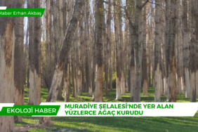 Red Suspense Breaking News Animated Video Kopyası