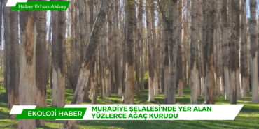 Red Suspense Breaking News Animated Video Kopyası