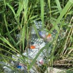 WhatsApp Image 2023-05-27 at 15.16.44