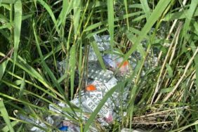 WhatsApp Image 2023-05-27 at 15.16.44