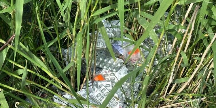 Van’daki ‘Kuş Cenneti’ kimyasal atıklarla katlediliyor