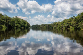 karbon-kredisi-990x556