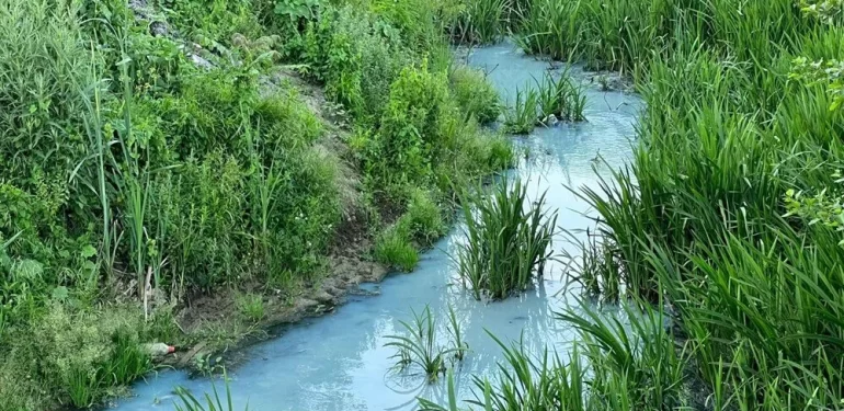 Arnavutköy’de derenin rengi maviye döndü