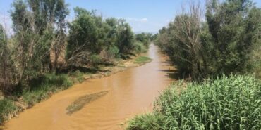 690x390cc-mns-18-06-2023-alasehir-cayi-insan-yasamini-tehdit-ediyor.