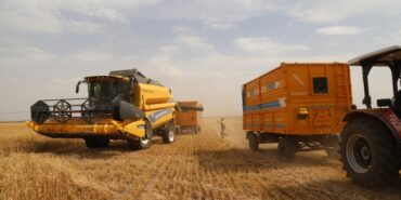 690x390cc-mrd-10-06-2023-bugdayda-verim-var-lidasta-yer-yok2 (1)