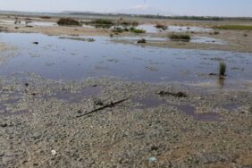 690x390cc-v-12-06-2023-kalcik-aritma-van-golunu-kirletiyor4