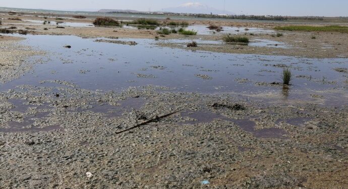 Van Gölü’ne saniyede bin 800 litre kanalizasyon suyu akıtılıyor
