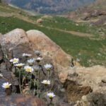 1_hkr-01-07-2023-yasakli-diyarlardan-gorsel-solen2