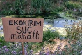 690x390cc-ist-01-07-2023-ekokrma-iliskin-iklim-adaleti-koalisyonu-arif-cangi-rop (1)