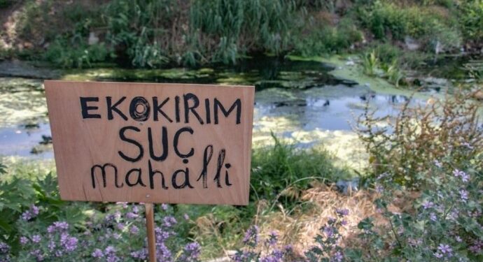 ‘Ekokırımın suç sayılması için toplumsal baskıya ihtiyaç var’