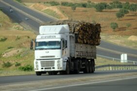 690x390cc-ist-03-07-2023-ormansizlasmaya-dair-ekolojist-cigdem-ozbas-ile-rop-21