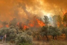 690x390cc-izm-12-07-2023-orman-yangini