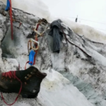 Ekran görüntüsü -07-29 161216