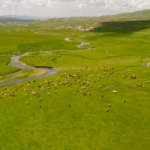 Ekran görüntüsü 2023-07-05 160603