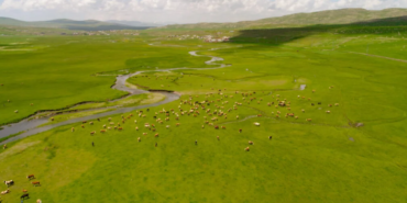 Ekran görüntüsü 2023-07-05 160603