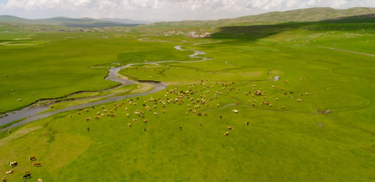 Ardahan’da mendereslerin görsel şöleni havadan görüntülendi